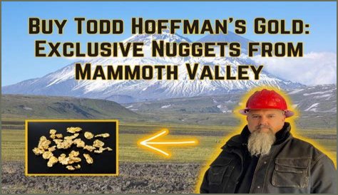 Unveiling The Gold Mine Of Todd Hoffman's Financial Empire